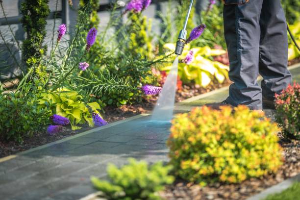 Best Residential Pressure Washing in Whitney Point, NY