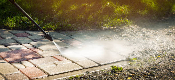 Best Fence Cleaning and Maintenance in Whitney Point, NY